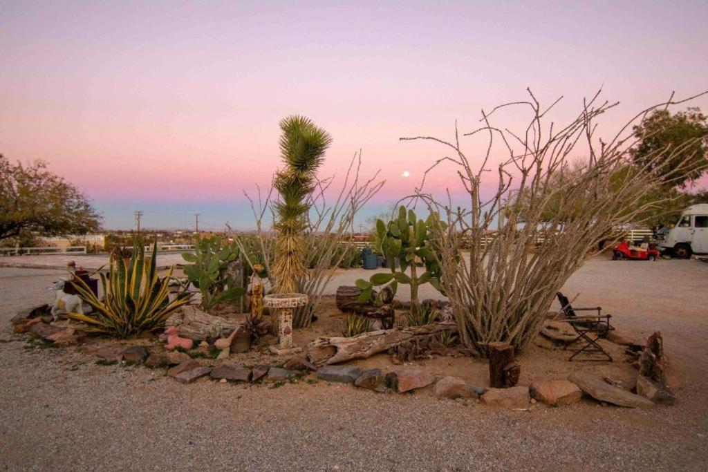 Joshua Tree Ranch House Motel - Downtown - Room #3 Εξωτερικό φωτογραφία